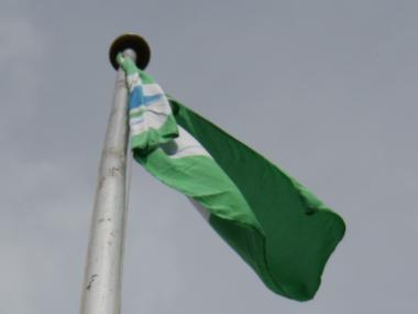 Grønt flag